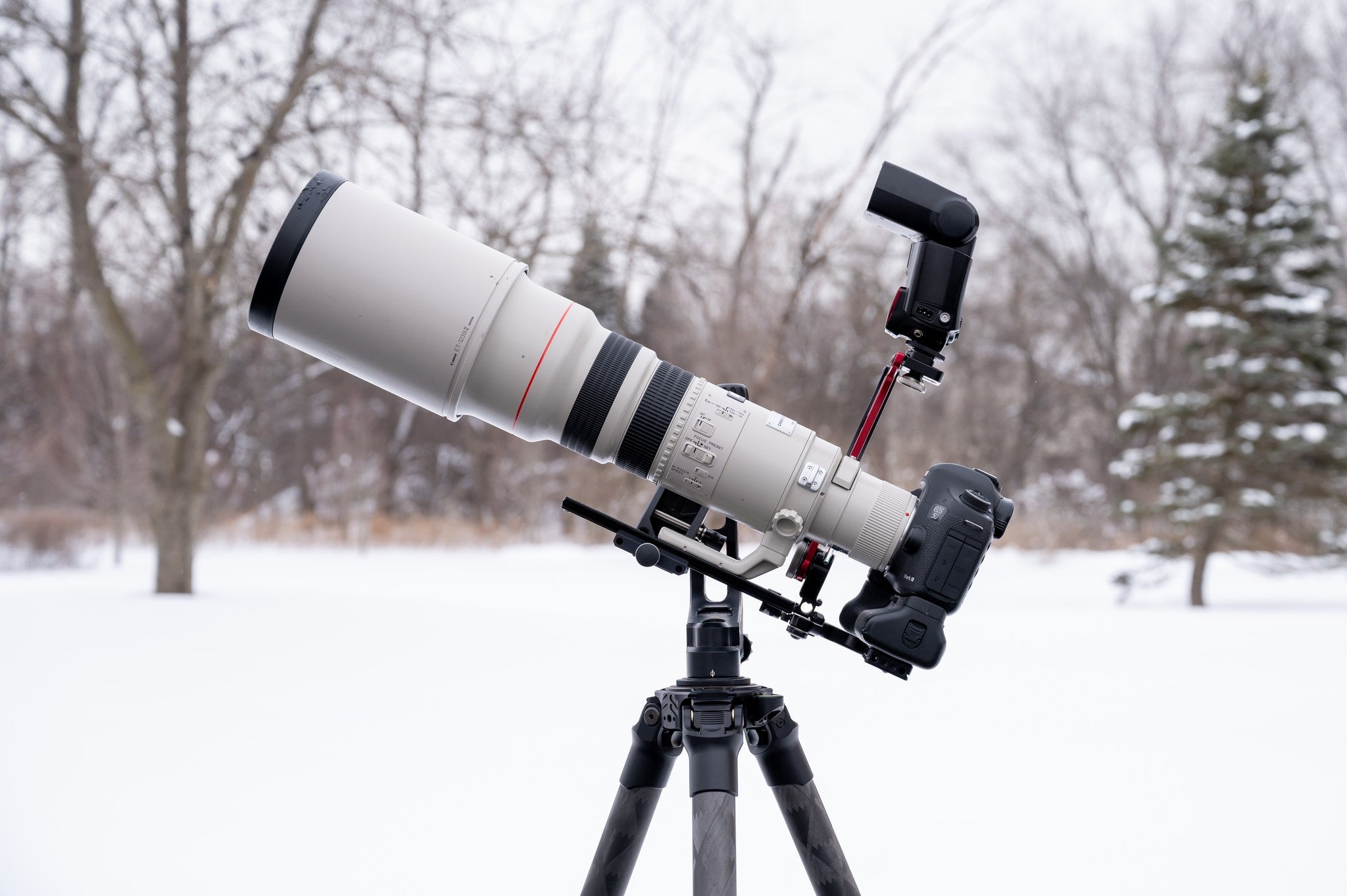 Best Wildlife Photography Lens for Beginners